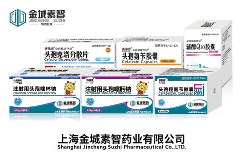 副省長王桂英赴金城醫(yī)藥調研 聚焦合成生物學與食品藥品安全，助力新興產業(yè)筑基
